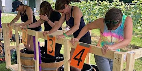 Wichmann Vineyard Grape Stomp