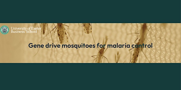 Gene drive mosquitoes for malaria control