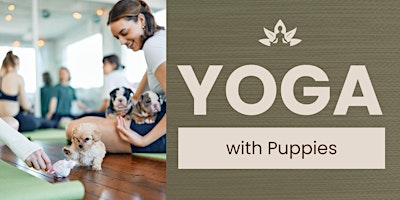 Yoga with Puppies primary image