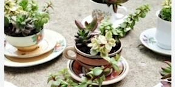 Upcycled Tea Cup, Pot & Pitcher Succulent Planter Workshop