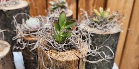 Rooted Creations: Succulent Log Workshop with Baby Animal Cuddling primary image