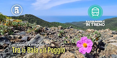 Tra la baia e il poggio