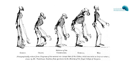 Claves de la evolución de la humanidad