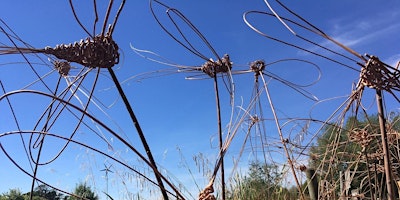 Primaire afbeelding van Adult Weaving Workshop: Make a Willow Dragonfly at Sutton Courtenay, Thursday 25 July