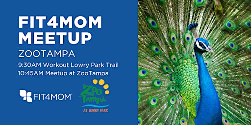 Primaire afbeelding van ZooTampa Field Trip + Pop Up Class