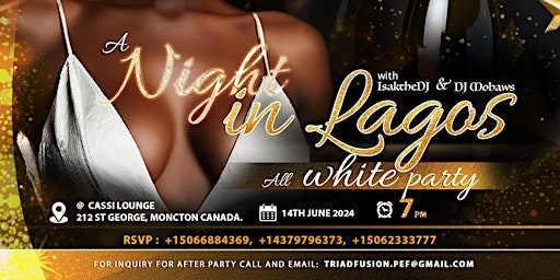 Imagem principal do evento A NIGHT IN LAGOS