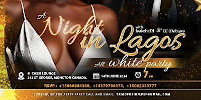 Image principale de A NIGHT IN LAGOS