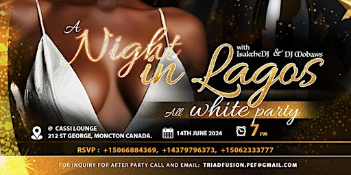 Image principale de A NIGHT IN LAGOS