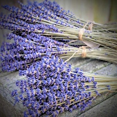 Lavender Bliss: Crafting Workshop for Relaxation and Creativity