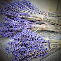 Lavender Bliss: Crafting Workshop for Relaxation and Creativity primary image