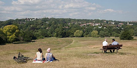 Creative nature and landscape photography in Hampstead Heath, London.