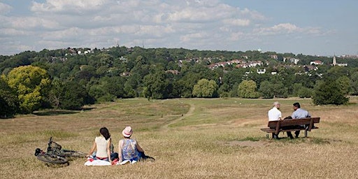Creative nature and landscape photography in Hampstead Heath, London. primary image