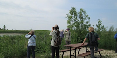 Primaire afbeelding van Birding for Beginners - Bunn's Creek Centennial Park