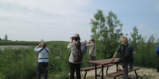 Primaire afbeelding van Birding for Beginners - Assiniboine Park