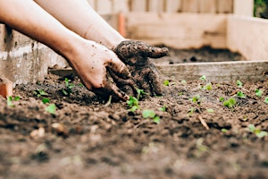 Primaire afbeelding van Growing Gardens Workshop