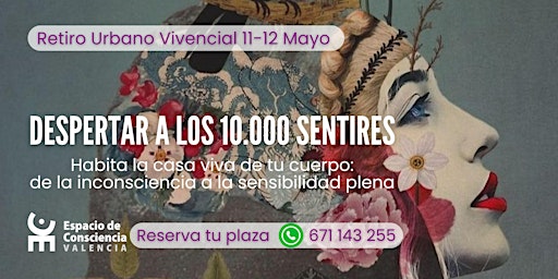 Imagem principal de Retiro urbano vivencial: despertar a los 10.000 sentires