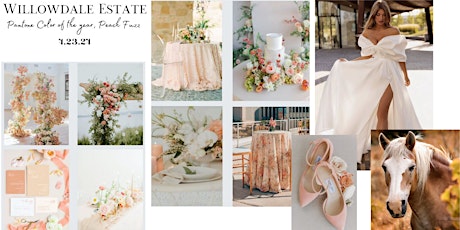 Styled Shoot Inspired by Pantone Color of the Year, Peach