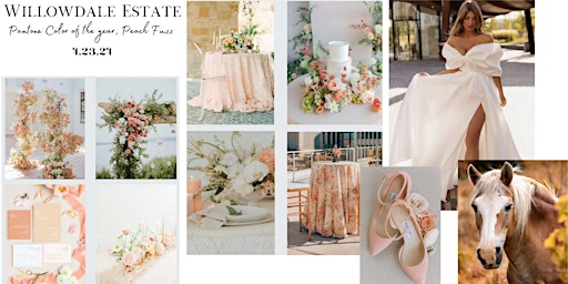 Primaire afbeelding van Styled Shoot Inspired by Pantone Color of the Year, Peach