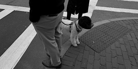 Hauptbild für Leica Boston Photo Walk