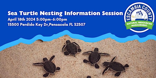 Imagen principal de Sea Turtle Nesting Season Information Session