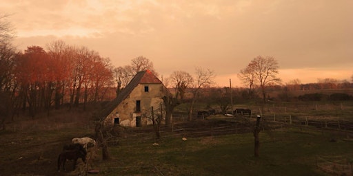 Primaire afbeelding van Permaculture Weekend Workshop