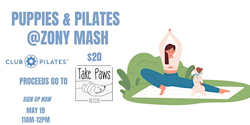 Puppies and Pilates at Zony Mash! primary image