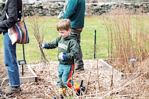 Immagine principale di Pollinator Habitat Workshop 