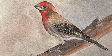 Bird Watercolor Painting with Ronna: April Finches