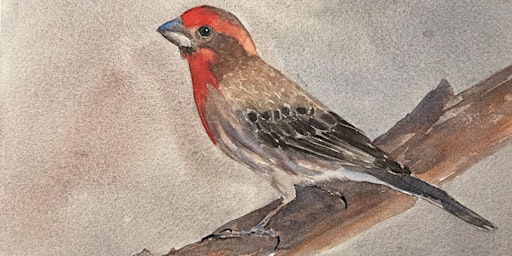 Bird Watercolor Painting with Ronna: April Finches  primärbild