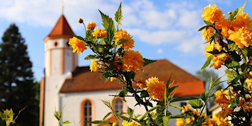 Hauptbild für Grand Ole Opry Gospel Singspiration