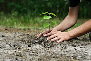 Free Community Tree Planting primary image