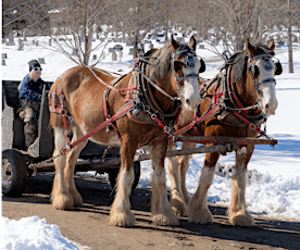 Horse & Wagon Rides at Spooner Island
