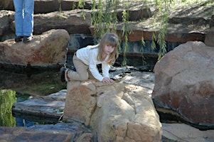 Imagen principal de Family-friendly Geology and Boulders at Hanging Rock State Park