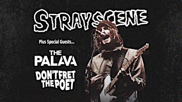 Imagem principal de Stray Scene / The Palava / Don't Fret The Poet LIVE @ The Lodge Bridlington