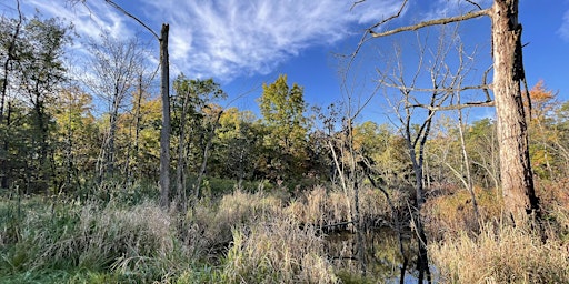 Earth Day 2024:  A Springtime Hike at Deer Grove East