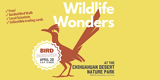 Imagen principal de Wildlife Wonders: Bird Bonanza (Part 1)