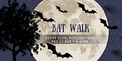 Imagem principal do evento Bat walk in Poulter Park