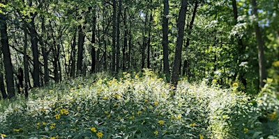 Trailblazers: Cap Sauers Nature Hike primary image