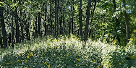 Trailblazers: Cap Sauers Nature Hike