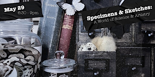 Imagem principal do evento Academy of Oddities Lesson 4. Specimens & Sketches