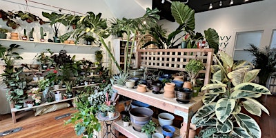 Image principale de Houseplants 101