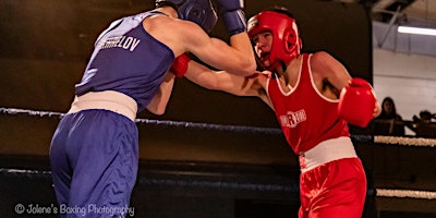 Primaire afbeelding van Night at the fights - Albion Boxing Club