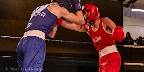 Night at the fights - Albion Boxing Club