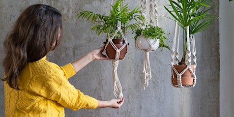 Macrame plant hanger