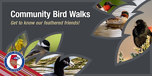 Community Bird Walks: Edmonton