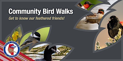 Environment and Climate Change: Lethbridge Community Bird Walk primary image