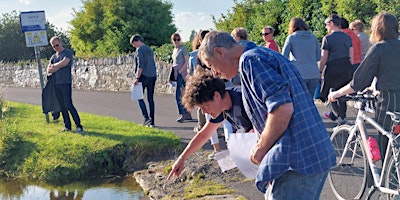 Biodiversity Walk primary image