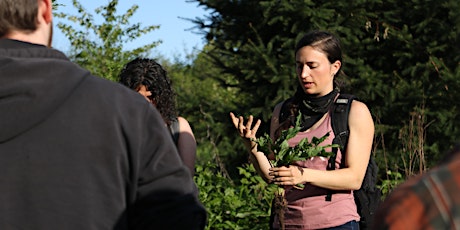 Intro to Local Edible and Medicinal Plants: Pioneer Park primary image