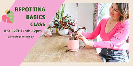 Immagine principale di Repotting Basics Class 