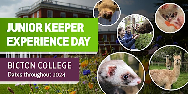 Junior Keeper Experience Day